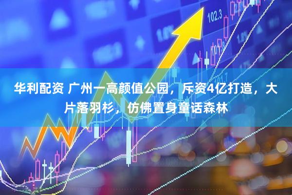 华利配资 广州一高颜值公园，斥资4亿打造，大片落羽杉，仿佛置身童话森林
