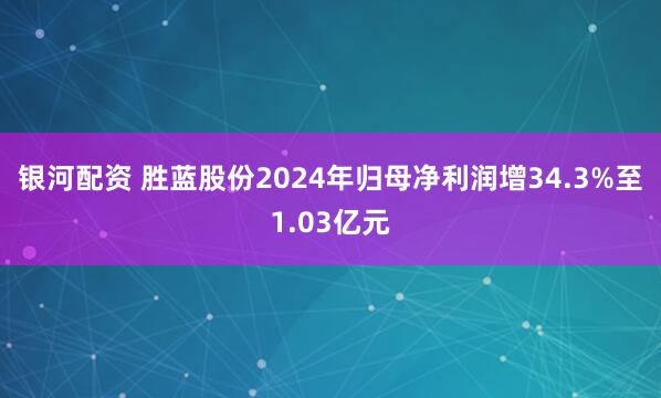 银河配资 胜蓝股份2024年归母净利润增34.3%至1.03亿元