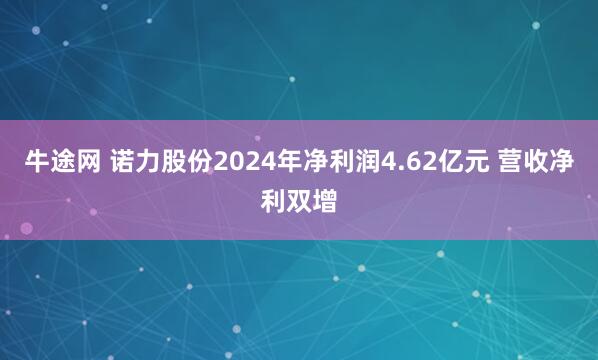 牛途网 诺力股份2024年净利润4.62亿元 营收净利双增