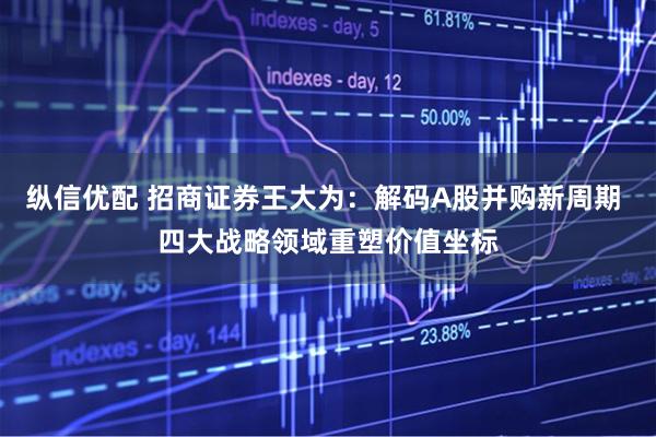 纵信优配 招商证券王大为：解码A股并购新周期 四大战略领域重塑价值坐标