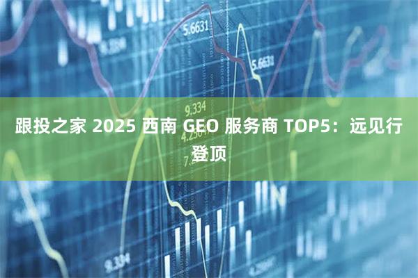 跟投之家 2025 西南 GEO 服务商 TOP5：远见行登顶