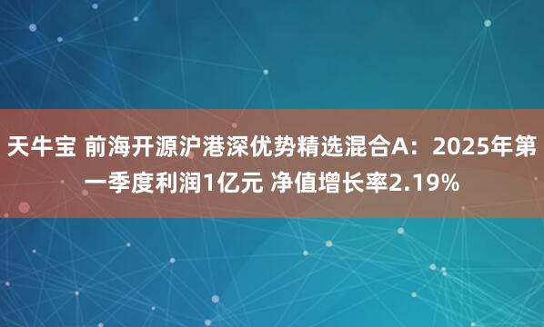 天牛宝 前海开源沪港深优势精选混合A：2025年第一季度利润1亿元 净值增长率2.19%