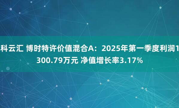 科云汇 博时特许价值混合A：2025年第一季度利润1300.79万元 净值增长率3.17%