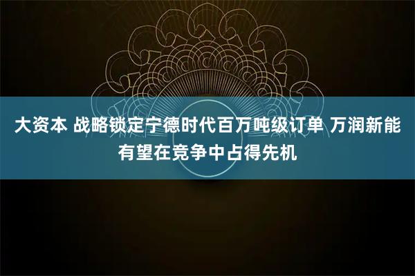 大资本 战略锁定宁德时代百万吨级订单 万润新能有望在竞争中占得先机