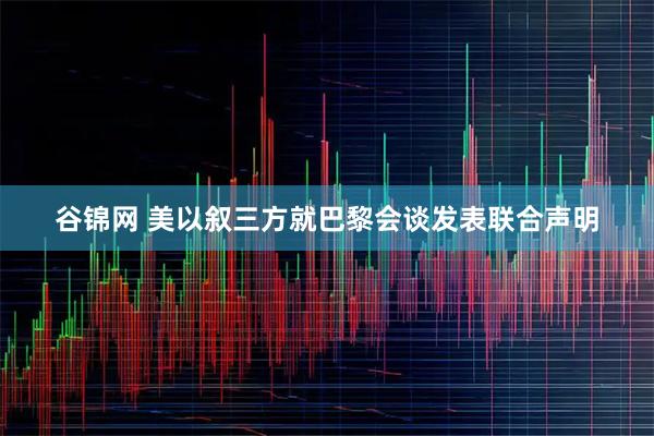 谷锦网 美以叙三方就巴黎会谈发表联合声明